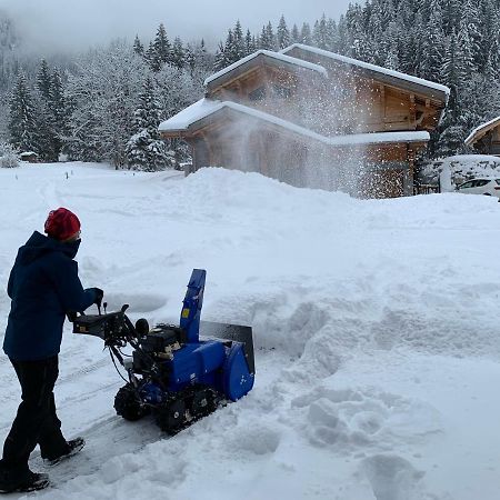 La Jolie Bergere Villa Morzine Dış mekan fotoğraf