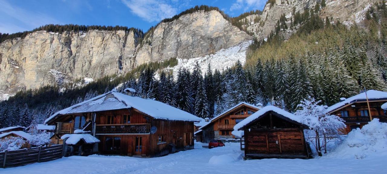 La Jolie Bergere Villa Morzine Dış mekan fotoğraf