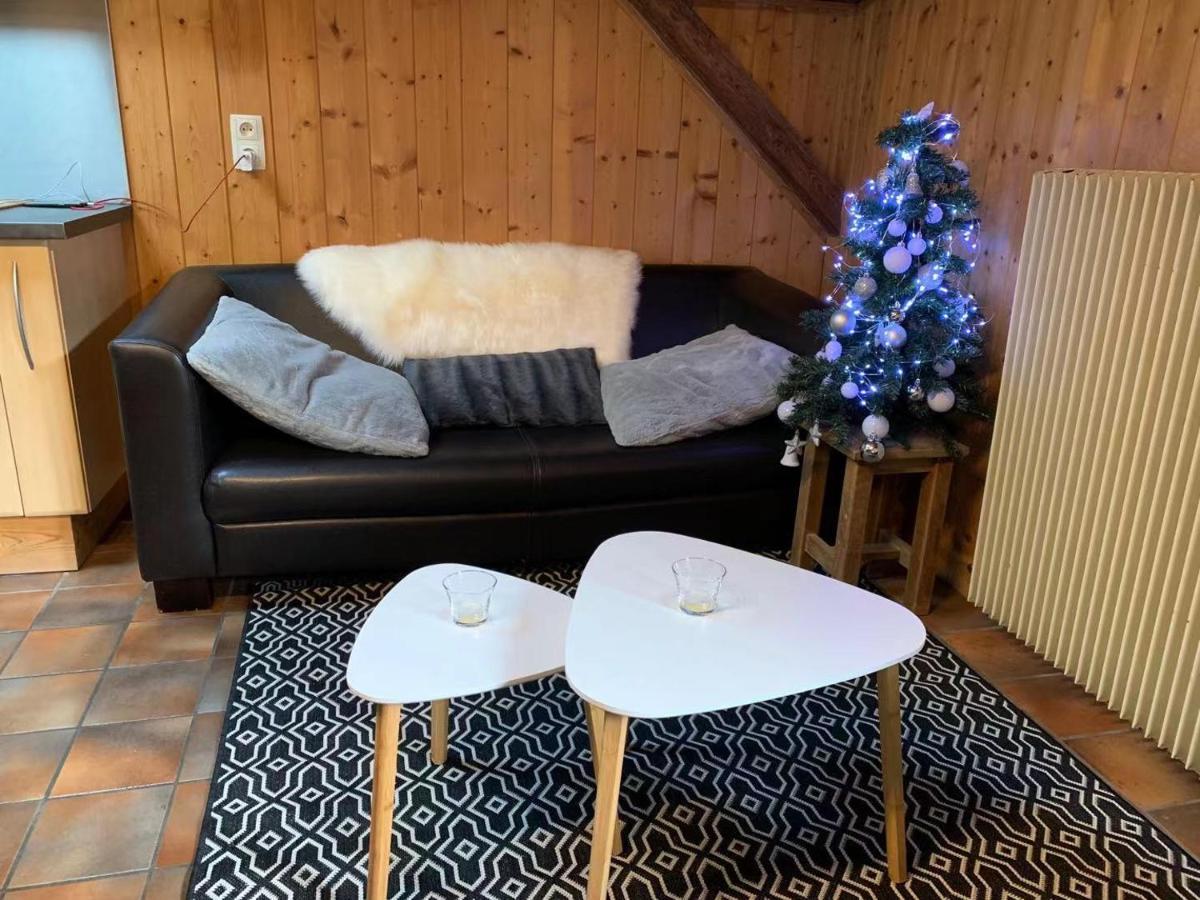 La Jolie Bergere Villa Morzine Dış mekan fotoğraf