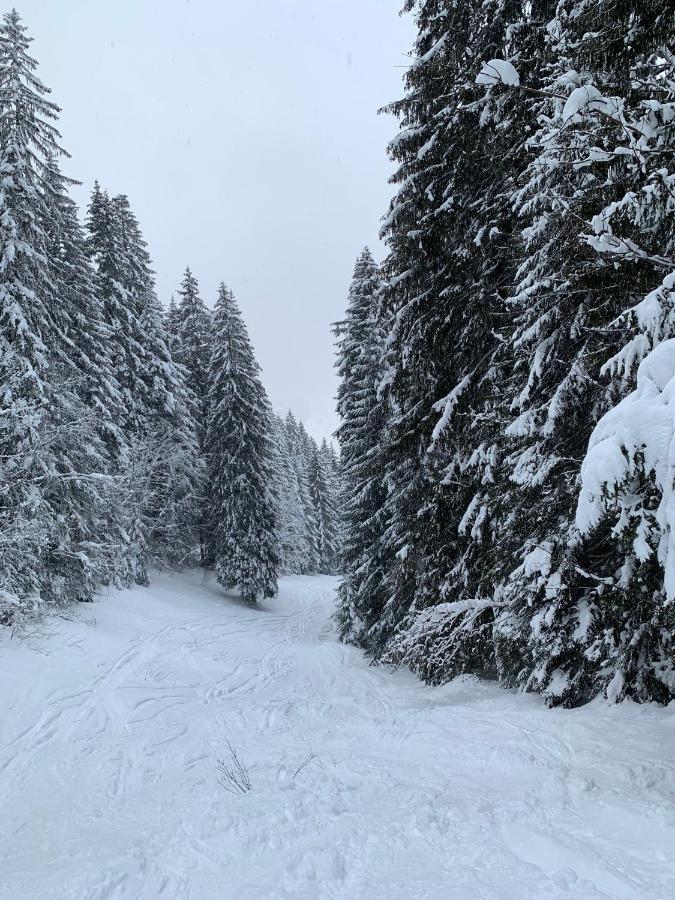 La Jolie Bergere Villa Morzine Dış mekan fotoğraf