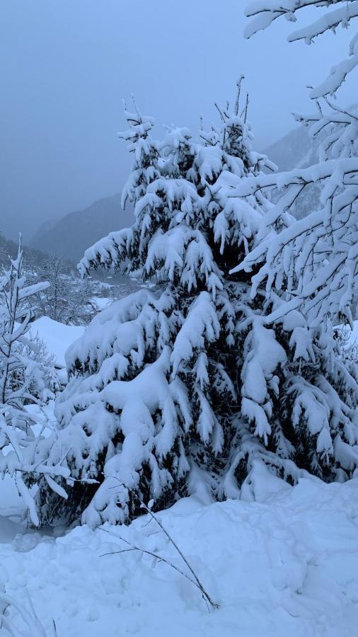 La Jolie Bergere Villa Morzine Dış mekan fotoğraf
